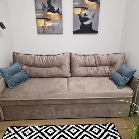 Demar Vakarchuka Apartment *